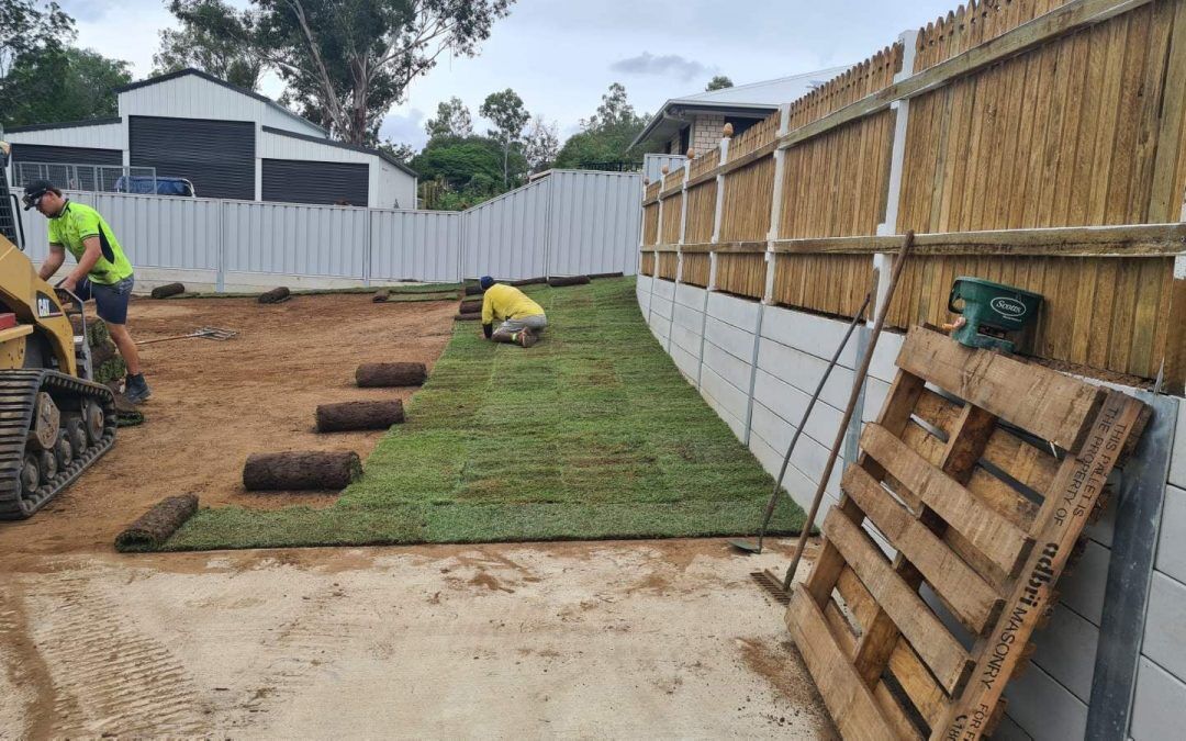 Transform Your Space with Budget Turf - Budget Turf